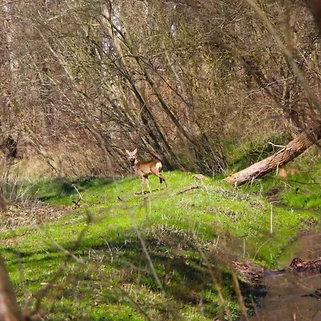 In The Lindengarten Kühlungsborn